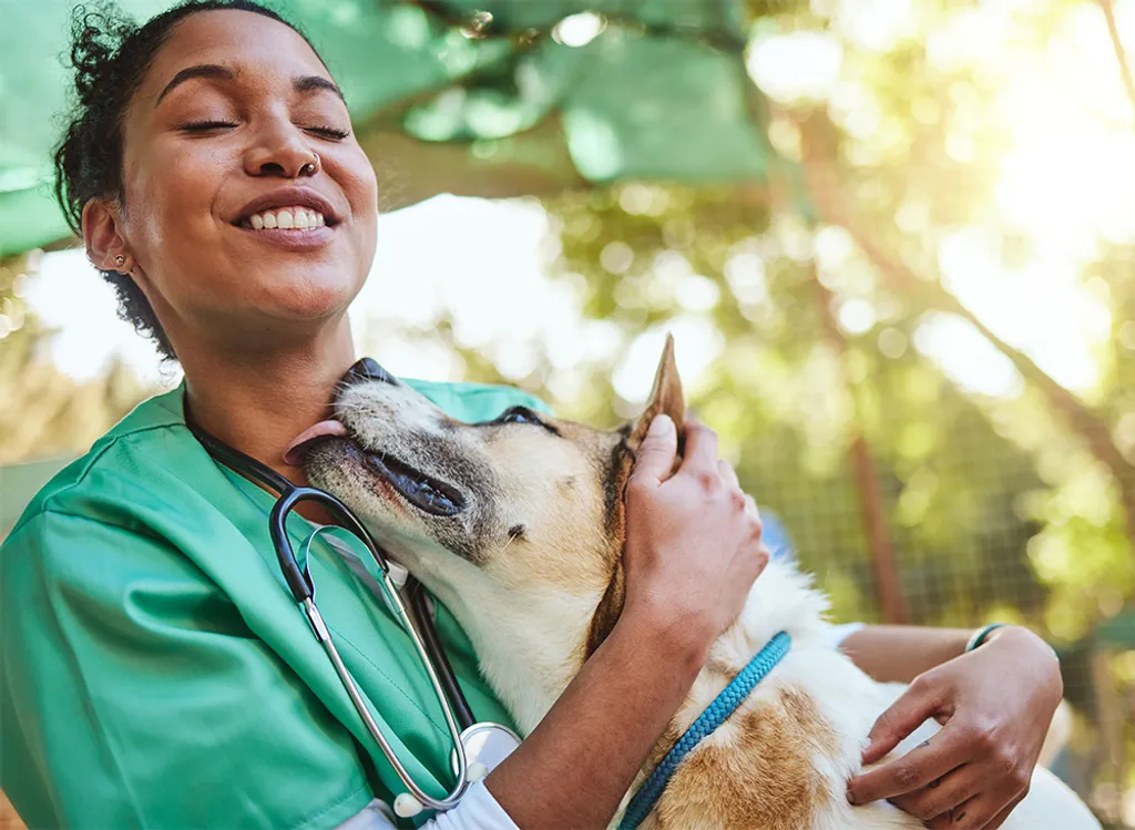 Veterinary Emergency Clinic